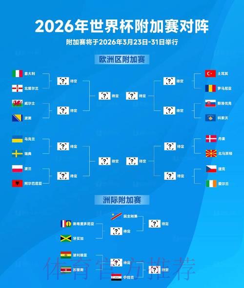 2026世界杯赛况：东道主球队成绩全面盘点