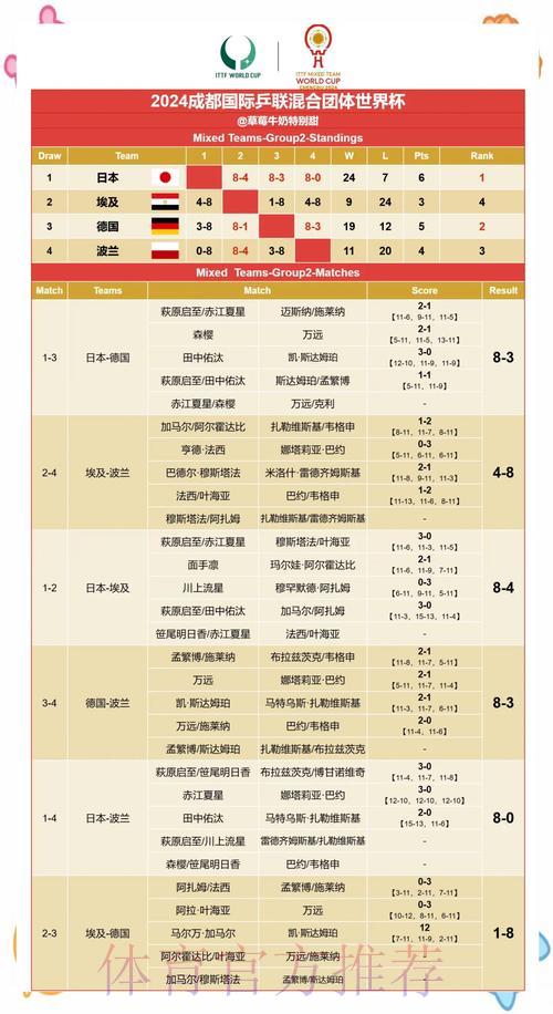 深度解析：世界杯赛果精准预测
